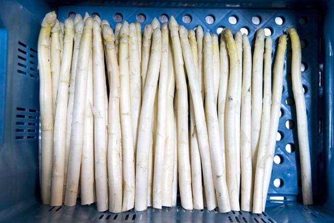 Asparagiinia on muun muassa parsassa. Aspargiiniton ruokavalio näytti tutkimuksessa hidastavan syövän leviämistä hiirillä. KUVA: Jerry Lampen