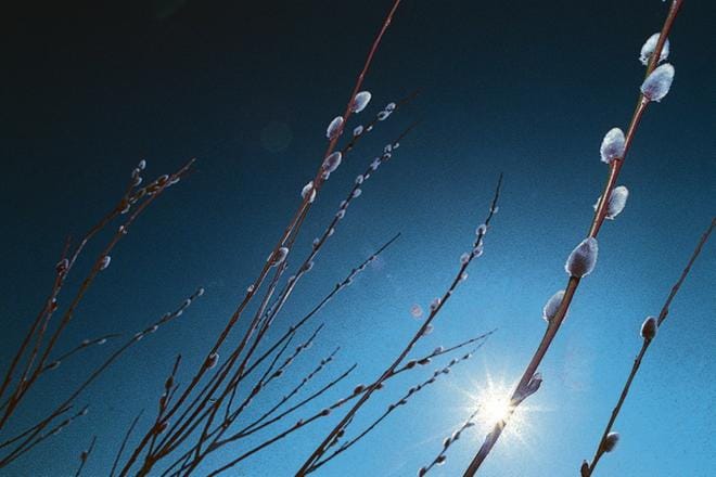 Auringonpaiste saattaa pääsiäispyhänä houkutella juurtuneimmatkin sohvaperunat ulos. Kuva Kari Löfhjelm