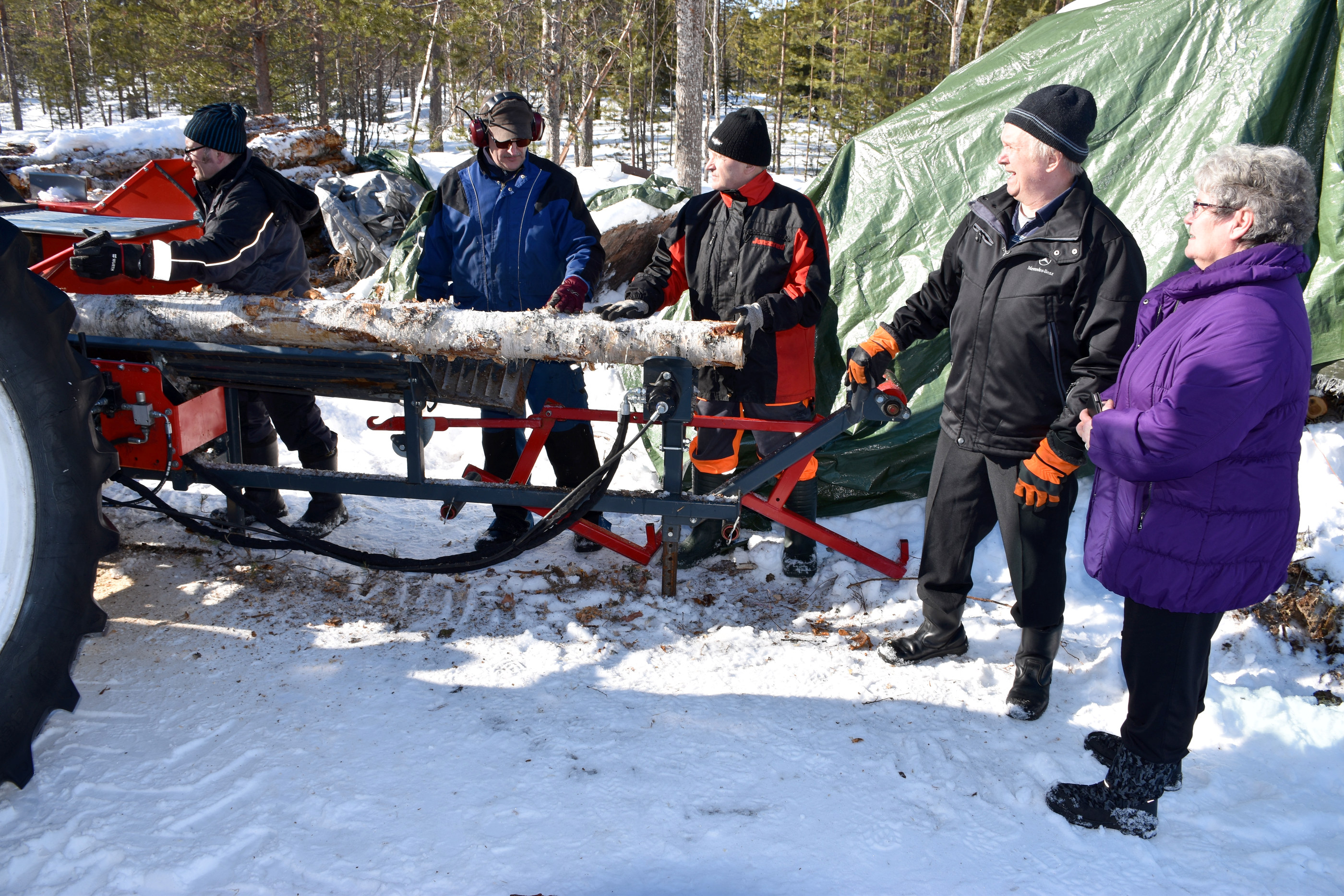 Eeva ja Ilmo Mikkola seurasivat kotipihallaan talkoomiesten halkosavottaa tiistaina.