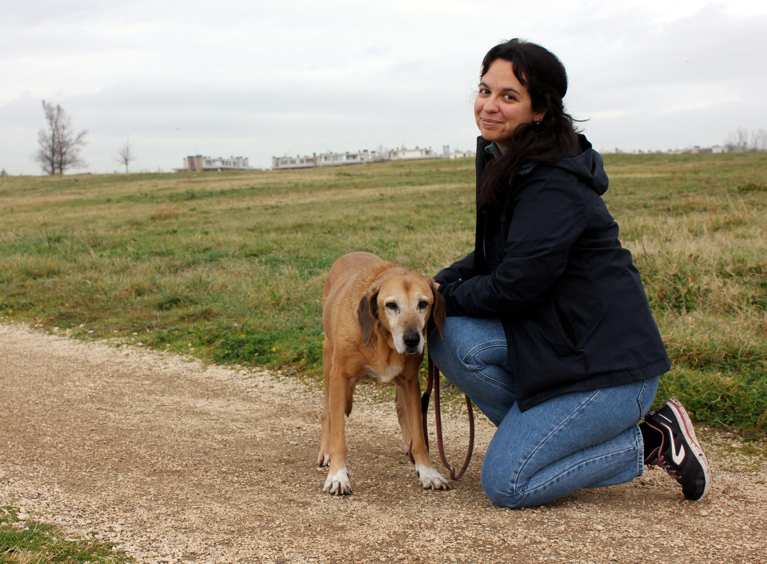 Sudet palasivat Roomaan – "Ikuisessa kaupungissa" tehdään sadan vuoden tauon jälkeen jälleen susihavaintoja