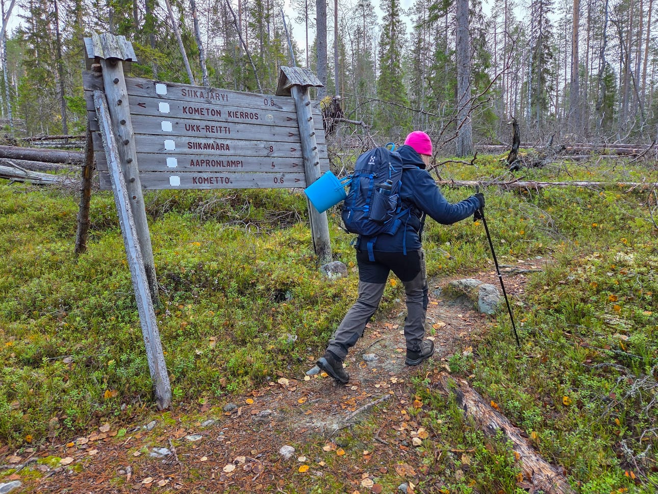 Kometon alueella on paljon myrskyn kaatamia puita.