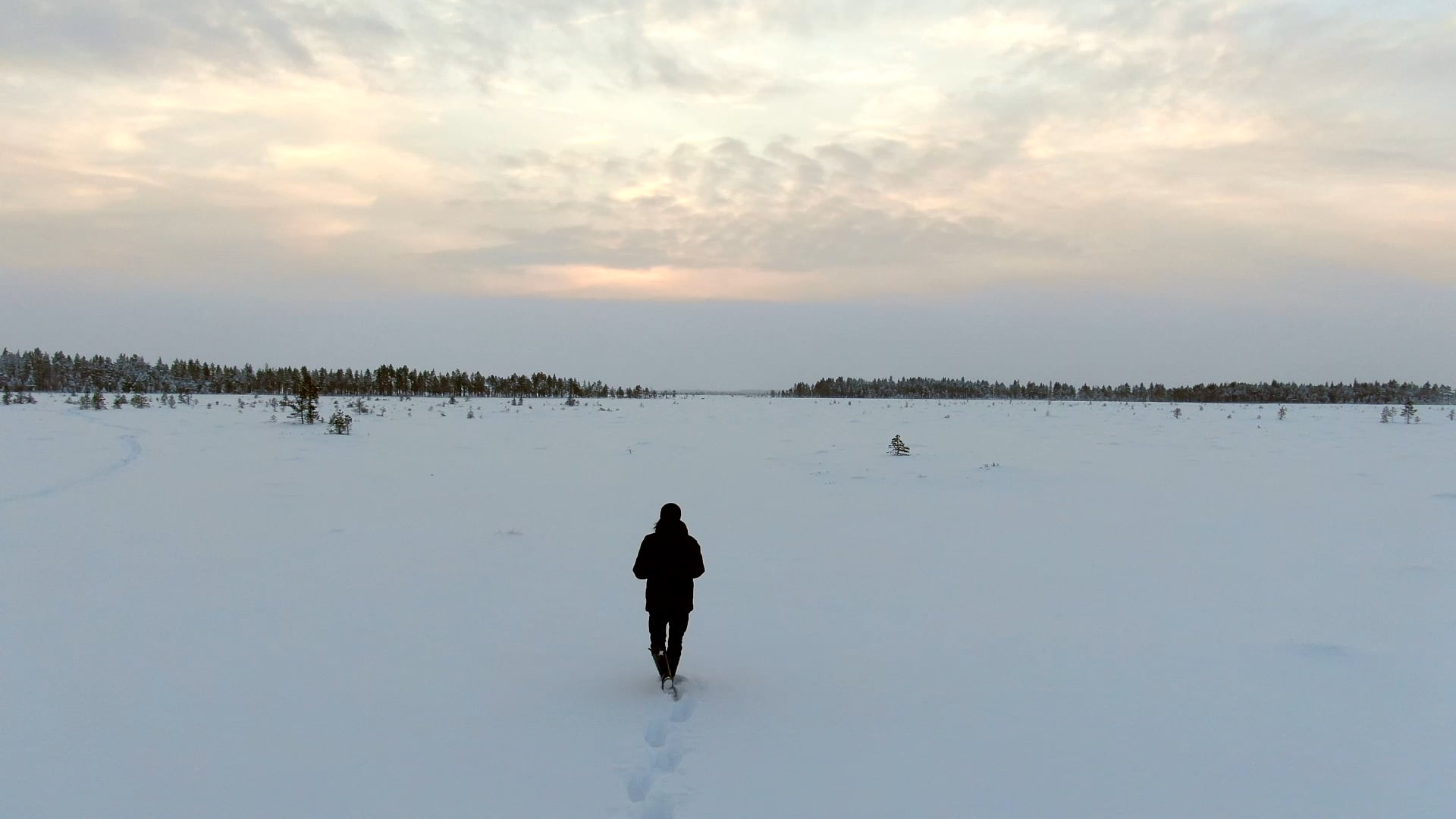 Suokuvaaja Mika Honkalinna