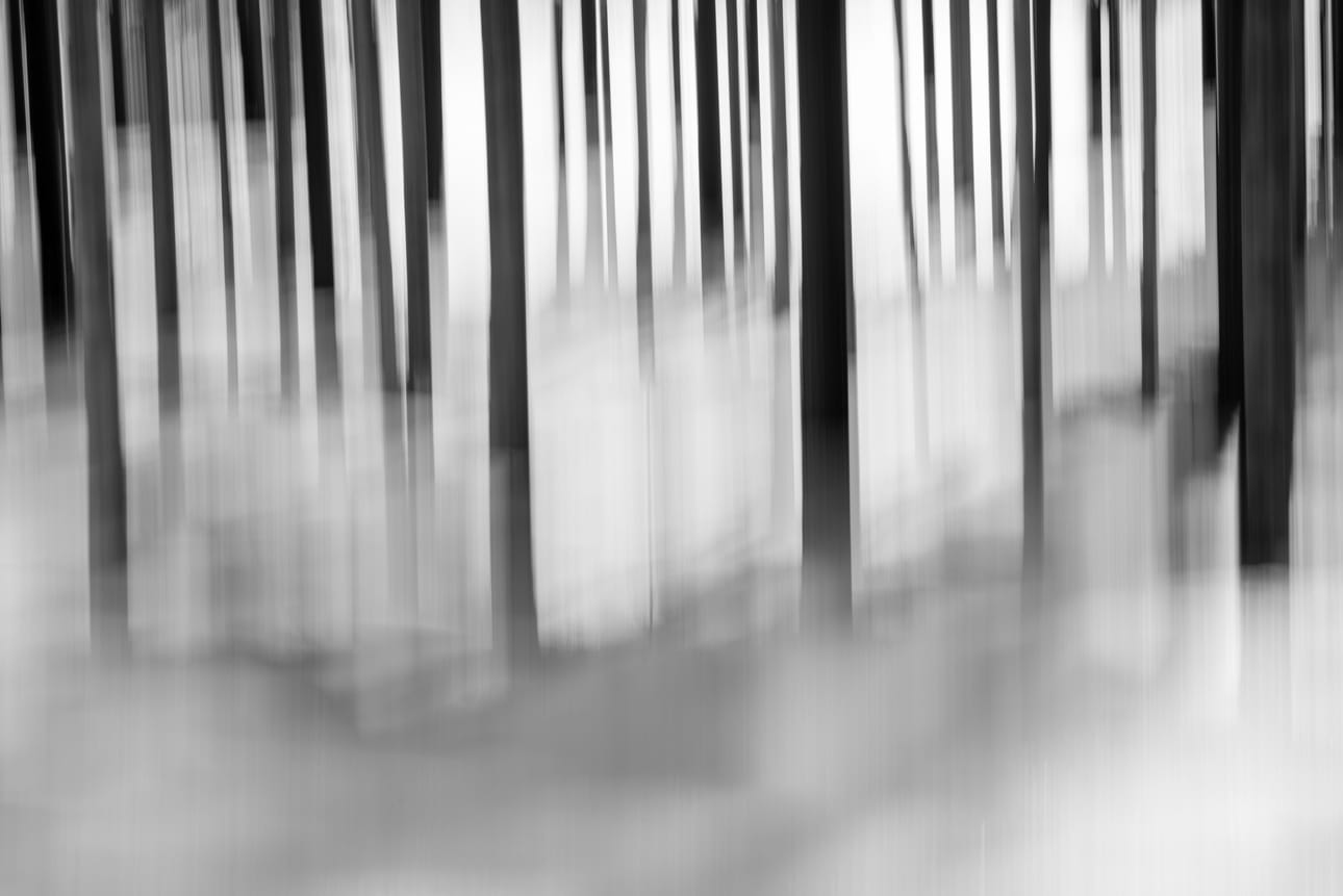 Seinäjokelaisen valokuvaajan Anssi Leppäsen abstrakti ähtäriläinen metsämaisema ”Talvinen metsä” palkittiin viikonloppuna Finnish Photo Awards 2022 -kilpailussa.