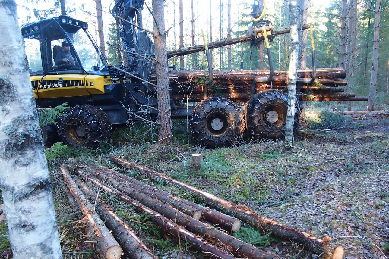 Pyhä- ja Kalajokilaaksojen alueella puumarkkinanäkymä jatkuu hyvänä lähikuukausina, kertoo Metsänhoitoyhdistys Pyhä-Kalan johtaja Maunu Kilpivaara. Kuvassa ajokoneenkuljettaja Mikko Palojärvi.
