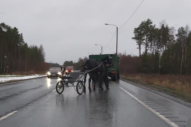 Kuva on joulukuulta 2019 tilanteessa, jossa säikähtänyt hevonen oli heittänyt ohjastajan kyydistään Seinäjoen raviradalla ja suunnannut Pohjan valtatietä kohti Ylistaroa. Hevonen saatiin tuolloin kiinni parikymmentä minuuttia myöhemmin.
