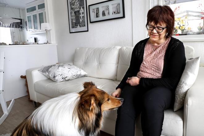 Kun hypokoira Dusty haistaa Tarja Joupin alhaiset verensokerit, se tökkää emäntäänsä niin tuntuvasti jalkaan, että merkin antamista ei voi olla huomaamatta. Dusty valmistui viralliseksi hypokoiraksi viikko sitten. Viimeinen testi oli Helsingissä kauppakeskus Sellossa. Näyttökokeensa Dusty läpäisi täydellisesti. – Sain mahtavan koiran ja hypokoirakouluttajat olivat todella taitavia, Tarja Jouppi kiittelee koiran kasvattajaa ja kouluttajia. KUVAT: JOUKO HÄNNINEN