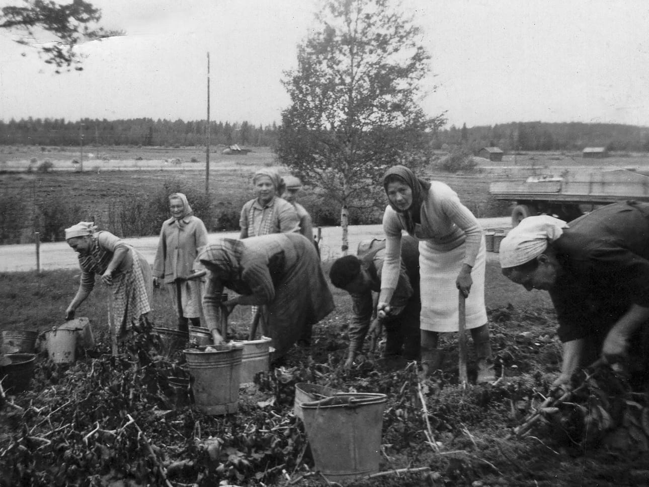 Topoteekissa on myös lukuisia peruna-aiheisia historiakuvia. Kuvassa on naisia nostamassa pottua Nurkkaperällä 1950-luvulla.