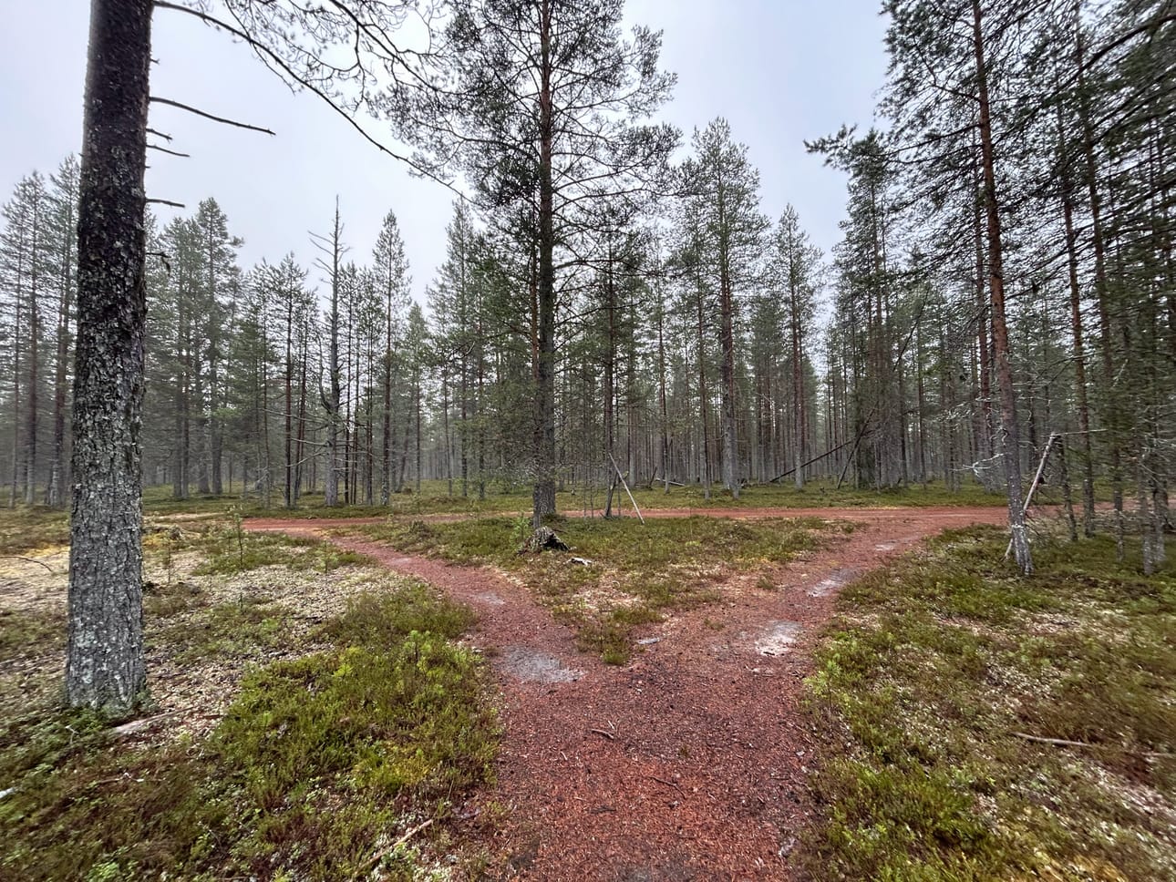 Kumpaan suuntaan tässä pitäisi kääntyä? Opastusta ei näy.