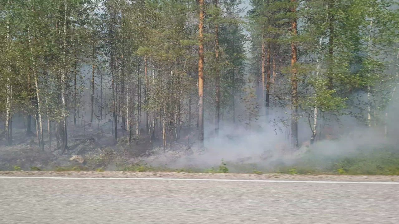 Metsäpalo Pudasjärvellä