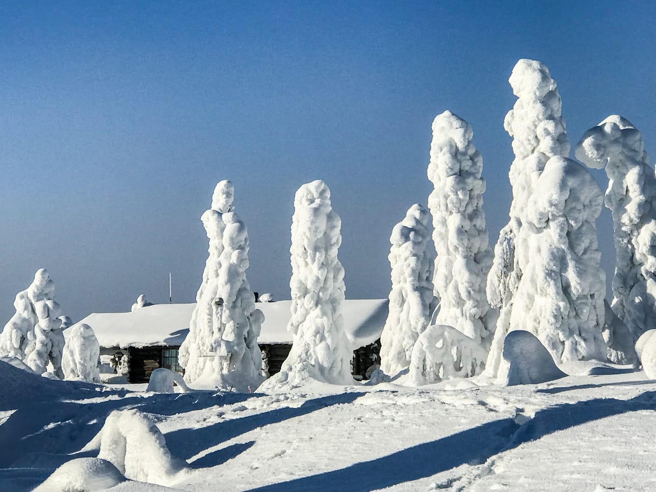 Näin mahtavat tykkyesiintymät tervehtivät talvituristeja Isosyötteellä.