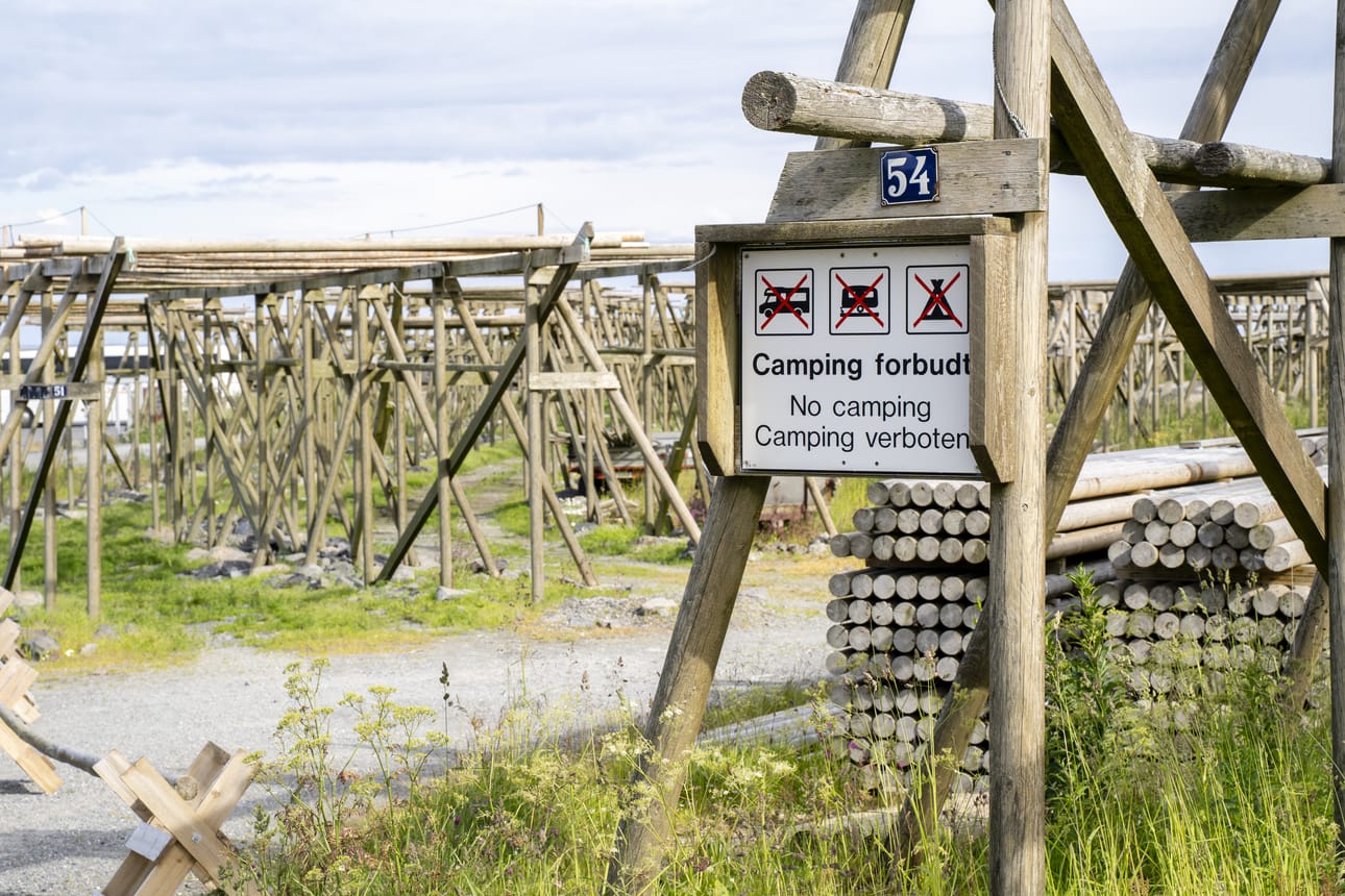 No camping -kylttejä löytyy yllättävistäkin paikoista.