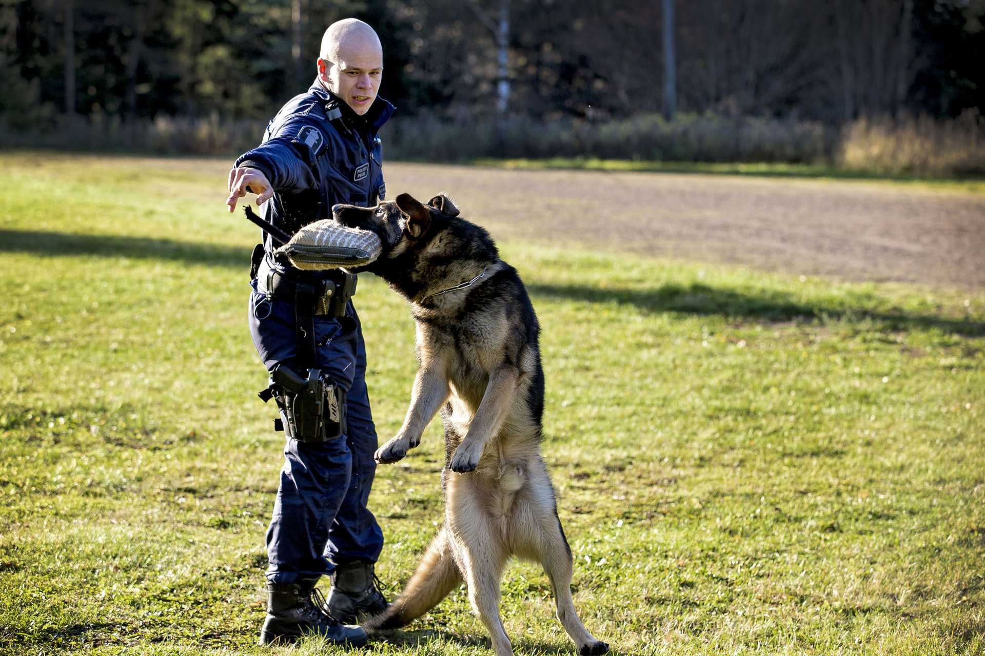 Kreo iskee Laurin "hyökkäystyynyyn" hurjalla energialla.