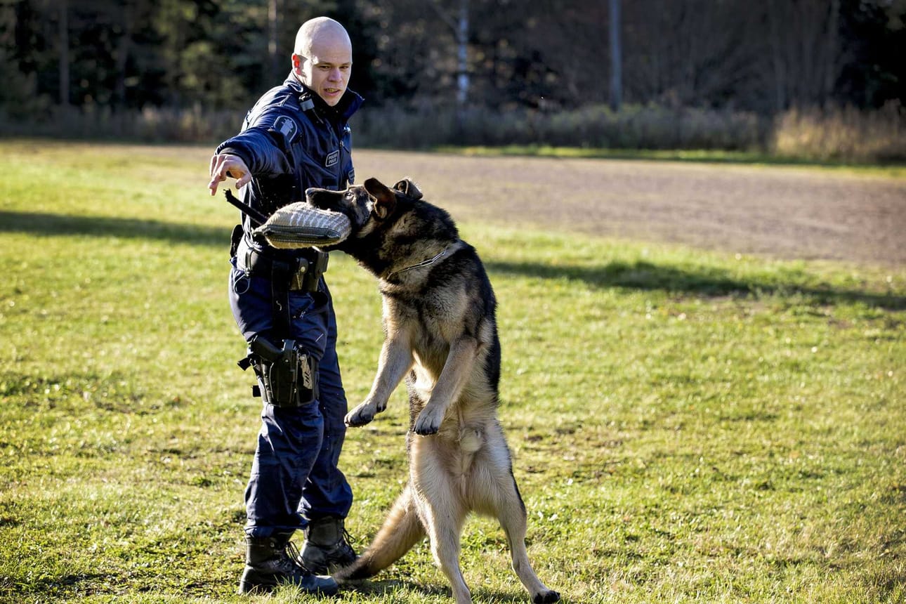 Kreo iskee Laurin "hyökkäystyynyyn" hurjalla energialla.