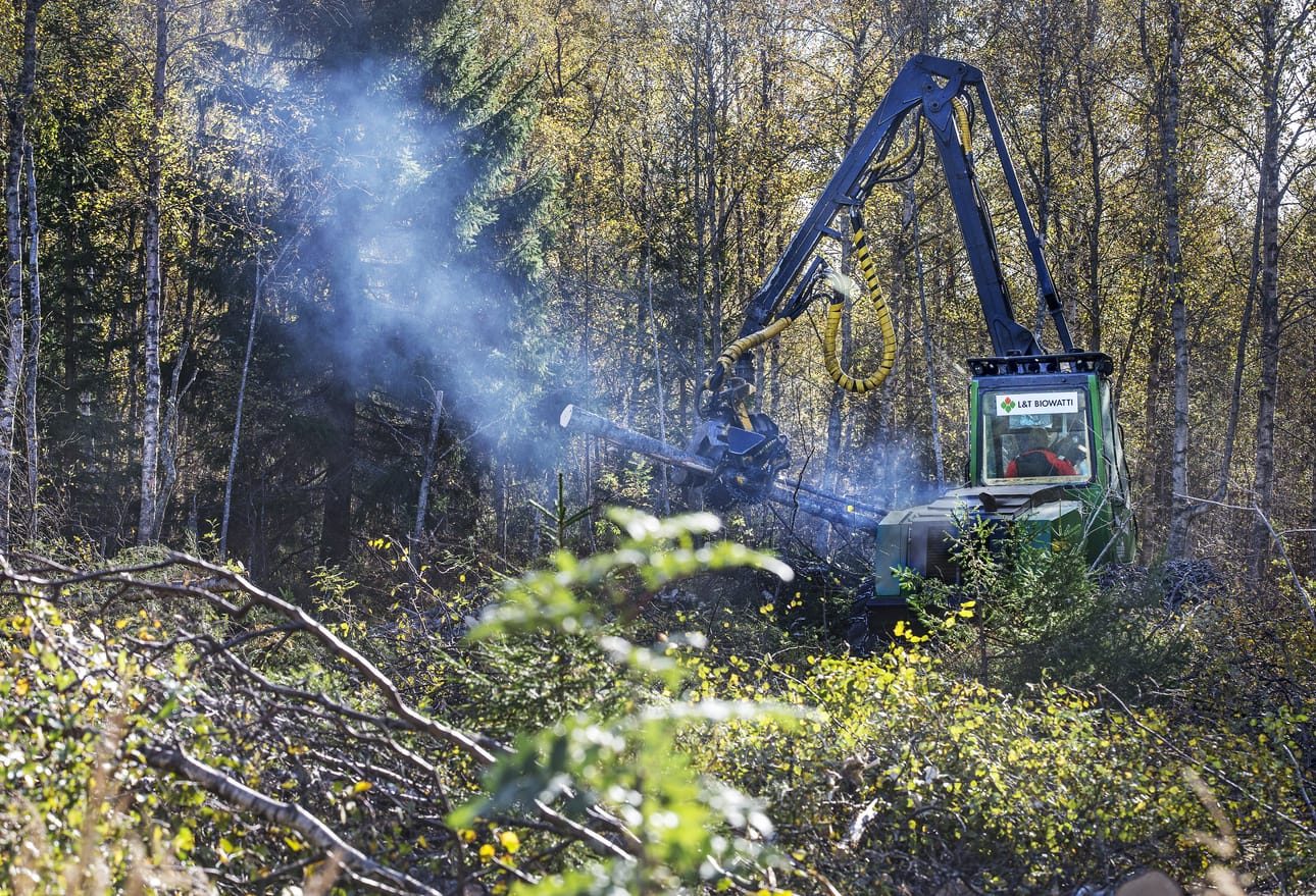 Fennovoiman ydinvoimalan työmaa-alueella on ollut mielenosoittajia huhtikuusta saakka.