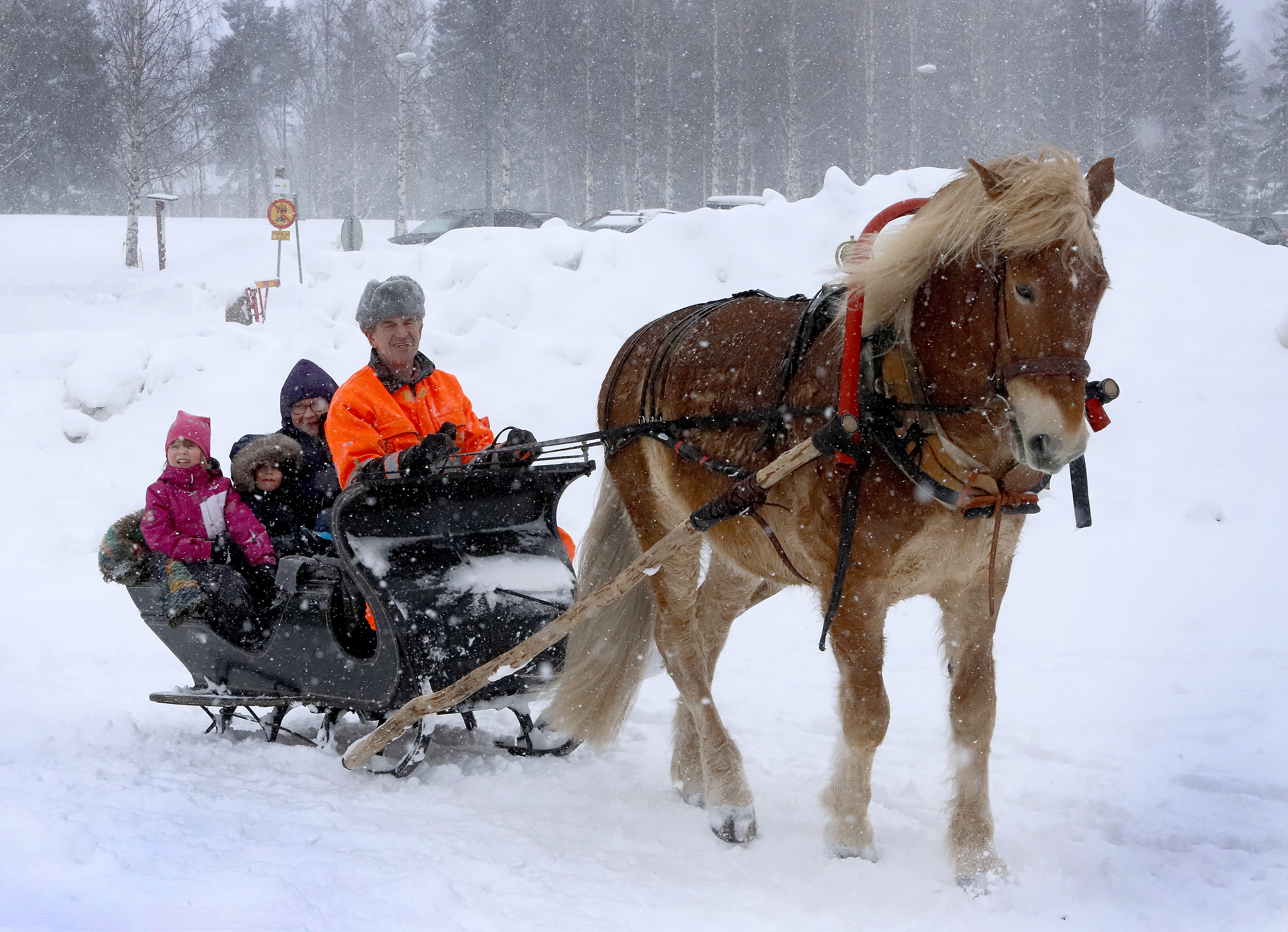 Heikki Saukon ja Koda-ruunan rekiajelut olivat niin suosittuja, että lapsia oli välillä jonoksi asti.