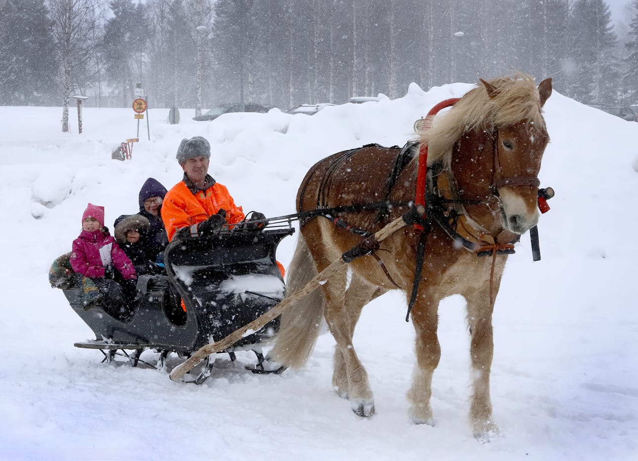 Heikki Saukon ja Koda-ruunan rekiajelut olivat niin suosittuja, että lapsia oli välillä jonoksi asti.
