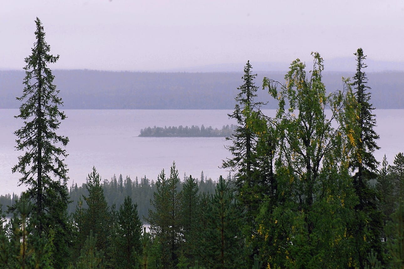 Luonnossa liikkuminen kohentaa mielialaa.