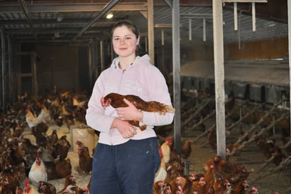 Katariina Isola, 23, sai lapsena neljä kanaa – Nyt lintuja on tuhansia, joiden munia hän kuskaa Oulun seudullekin
