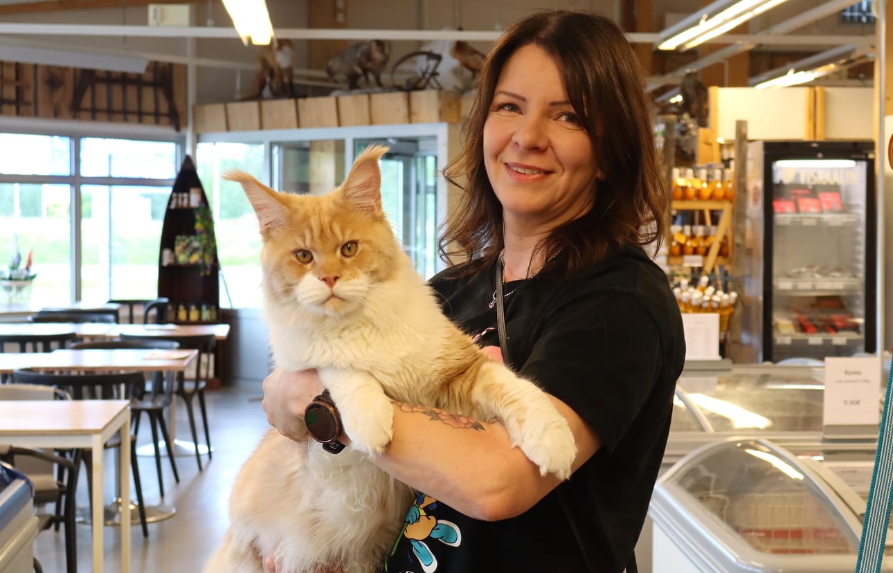 Viikko sitten Nuudeli osallistui ensimmäiseen kissanäyttelyynsä, josta se voitti kaksi juniorisertifikaattia, ja pääsi näyttelyn molempina päivinä Best In Show -paneeliin.