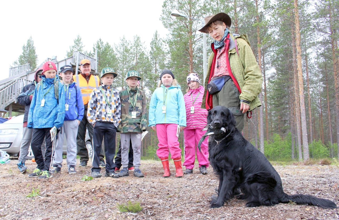 Metsästäjäliiton Oulun piiri aloittaa säännöllisen nuorisotyön alueellaan. Toiminta on virinnyt hyvin alulle jo Siikalatvalla, jossa on kahtena vuonna järjestetty Mini Metso-leiri. Arkistokuva Anna Hämeenaho
