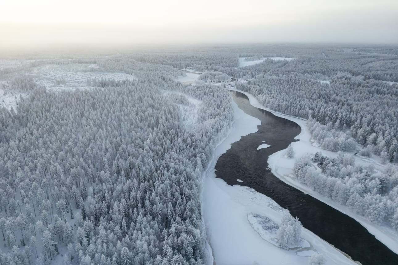Iijoen jokivartta Koivukosken alapuolella.