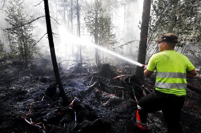 Pitkään jatkunutta hellettä seurannut kuivuus koetteli maanviljelijöitä etenkin Varsinais-Suomessa, mutta sai aikaan tuhoja myös metsissä. Halsualainen Tuukka Jussinmäki oli sammuttamassa Kauhavalla heinäkuun lopulla syttynyttä laajaa metsäpaloa. KUVA: JOUKO HÄNNINEN