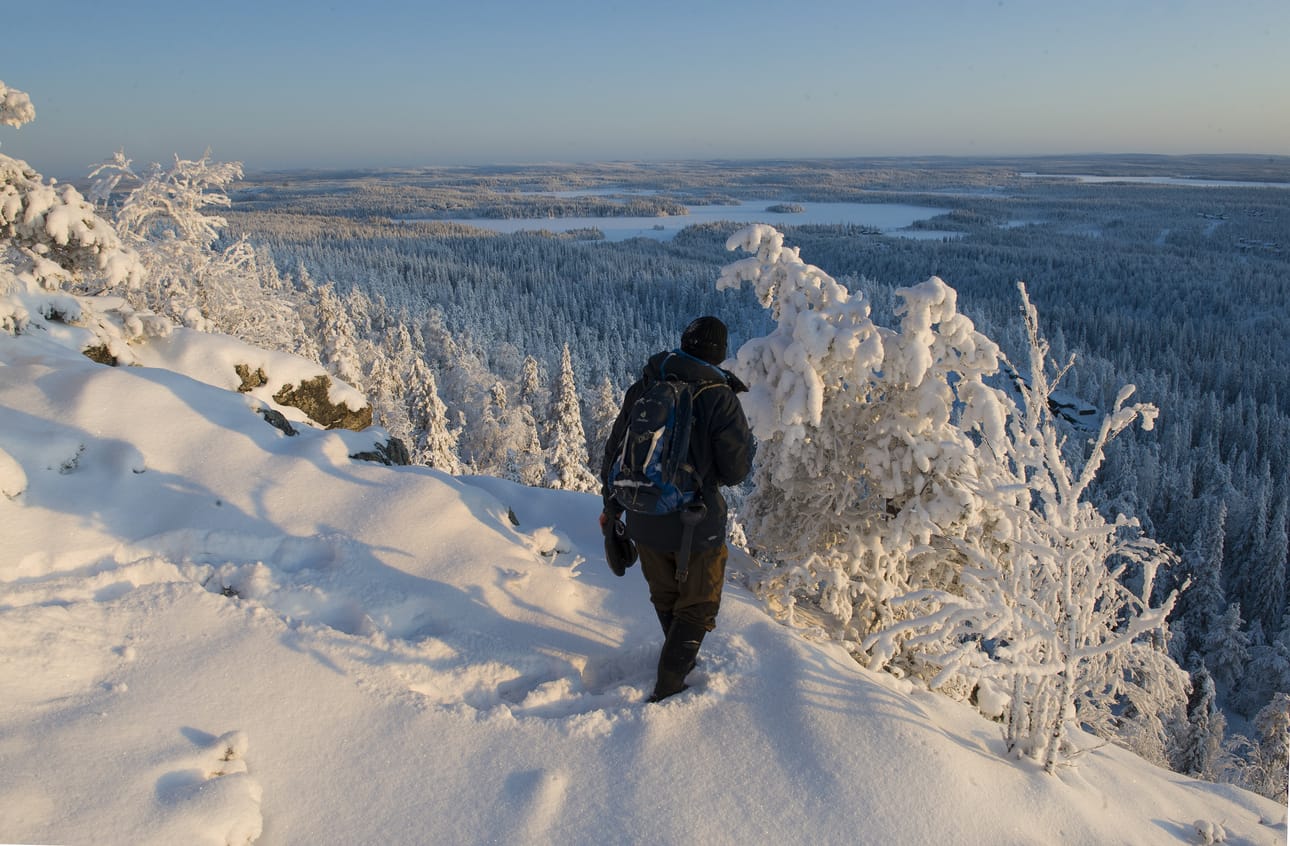 Valtavaaralta eteläosista avautuu laaja maisema itään aina Venäjän tuntureille saakka.