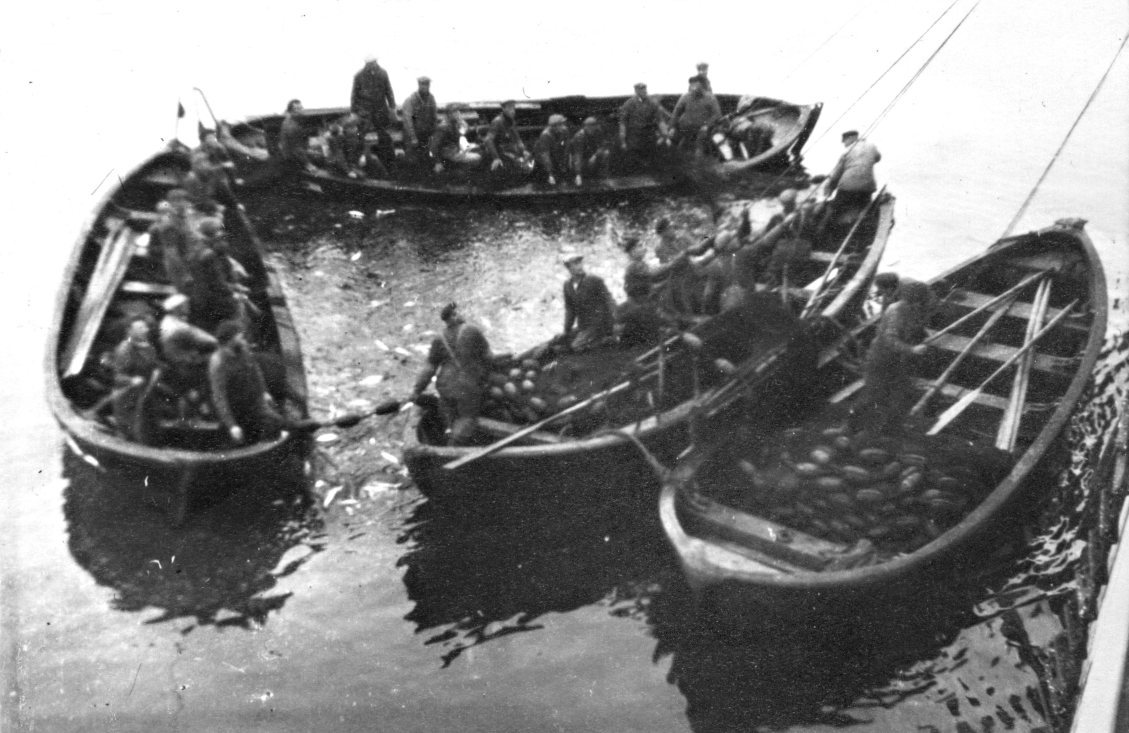 Veneitä lähdössä sillinpyyntiin, 1930-luvun lopulla Islannin vesillä. Hailuotolaisen Helvi Isola-Pernulan albumista. 