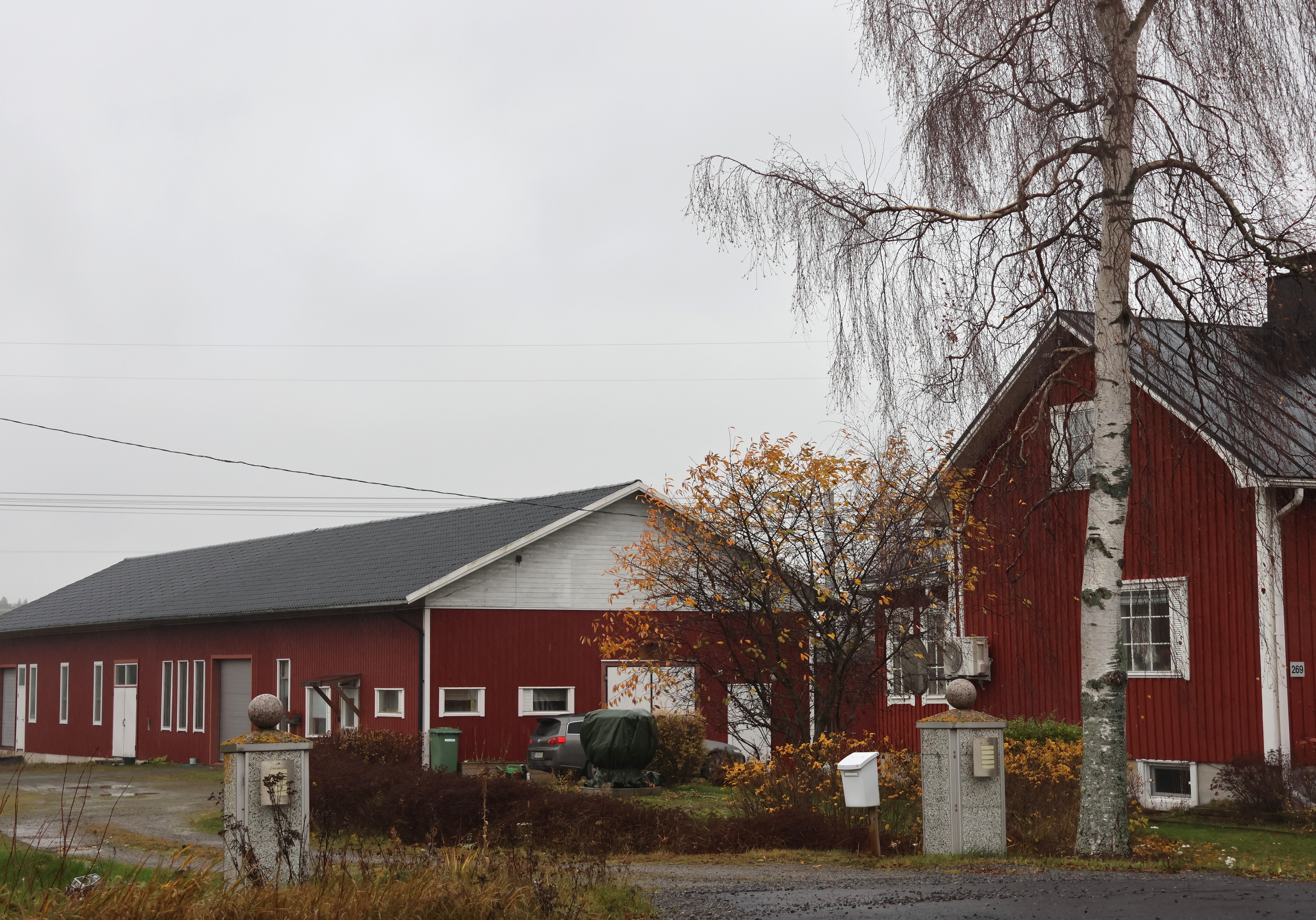 Kondomien tukkukauppa perustetaan Dagsmarkiin – Yrityksen taustalla kahden miljoonan euron liikevaihto ja Suomen suurin kondomien verkkokauppa