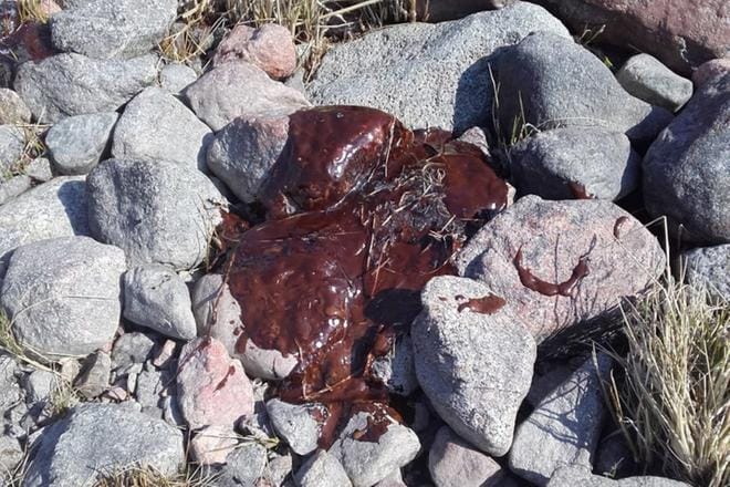 Rönnskäretin saaristossa alkuviikosta tehtyjä öljyhavaintoja. KUVAT: ETELÄ-POHJANMAAN ELY-KESKUS