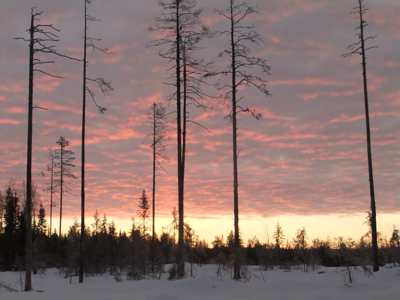 Aamuinen auringon nousu