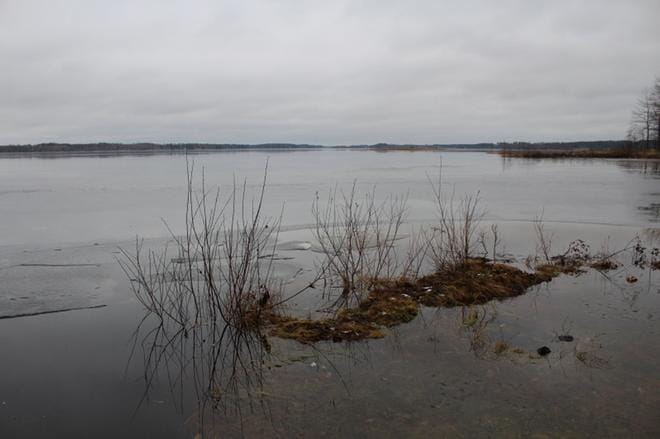 Kuortaneen Länsirannan Seppälänniemeltä avautuu näkymä Kuortaneenjärven vesi- ja jäälakeudelle. ARKISTOKUVA: REIJO HEIKKILÄ