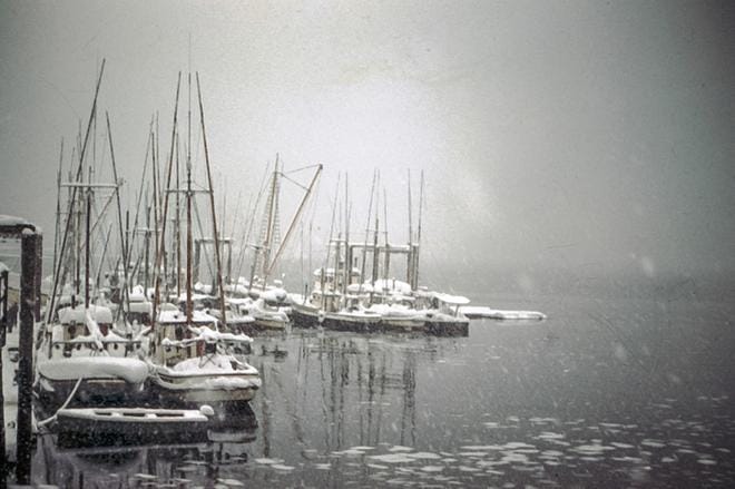 Pelican oli 1950-luvulla elinvoimainen kalastusyhteisö Alaskassa. Viimeinen kalatehdas lopetettiin vuonna 2010. Nyt Pelicanissa asuu enää 60 ihmistä. KUVA: Yle Kuvapalvelu
