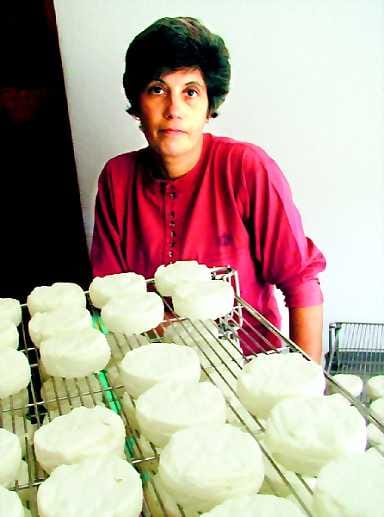 Satoja päivässä. Parhaimmillaan keväällä ja alkukesästä madame Julienin 80 vuohesta valmistuu päivittäin noin 450 Pélardon-juustoa.