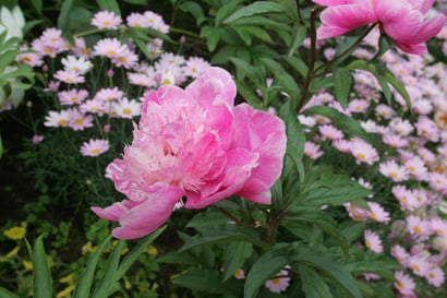 Muistokirjoitus – Helli-ystävää muistaen