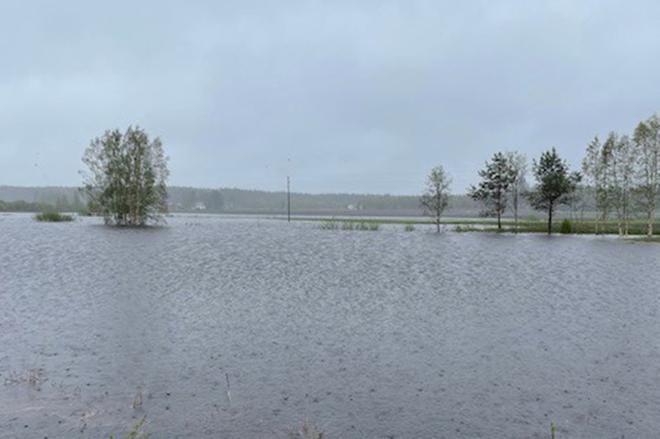 Kuninkaanjoen tulvaa kuvattuna Kortekylän Tuhtalahdelta 21.5.2021. LUKIJAN KUVA: MAURI PENNINKANGAS