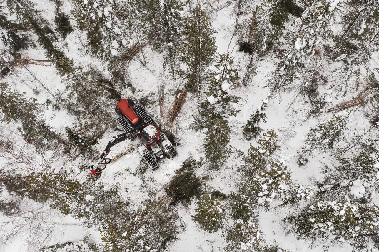 Hakkuut Aalistunturin ja Laukkujärventien välisellä alueella ovat olleet myös tällä viikolla mielenosoittajien ja median mielenkiinnon kohteena. Metsähallitus esitteli keskiviikkona tiedotustilaisuudessa alueella tehtävää harvennusta.