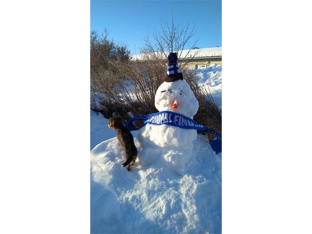 Hyvä Suomi! Hyvä Leijonat!