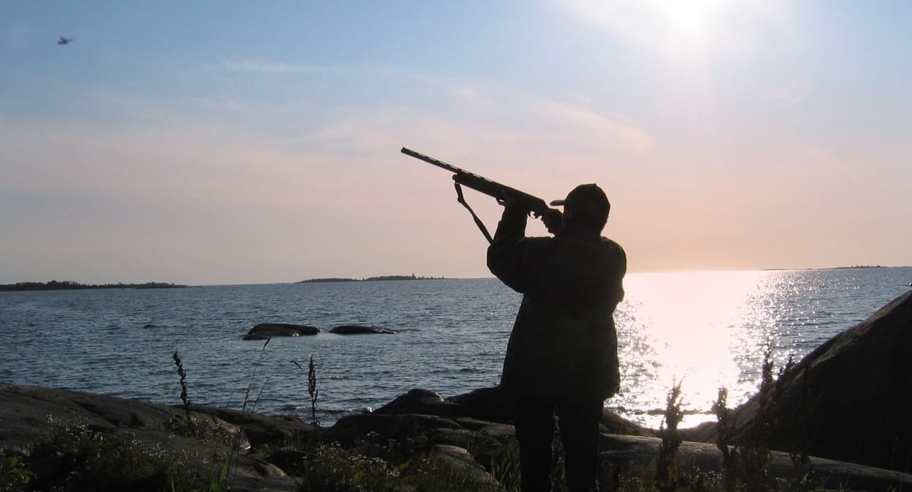 Aselupa voidaan myöntää esimerkiksi metsästystä varten. Arkistokuva.