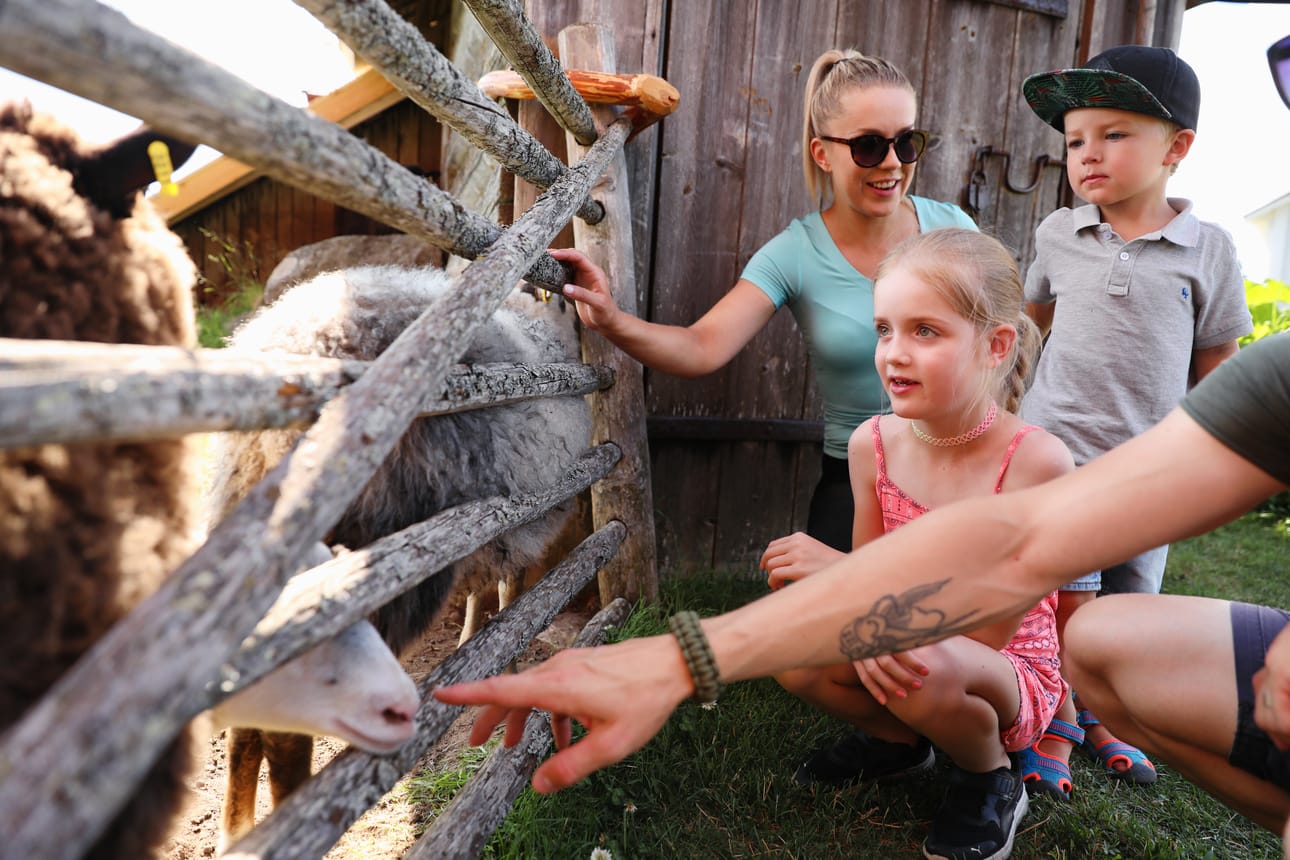 Pihapiiristä löytyy laiduntavia lampaita, joihin lapset voivat tutustua rauhassa vierailunsa aikana.