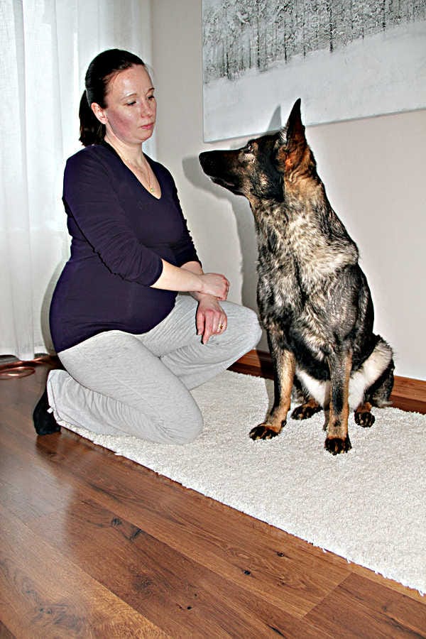 Katja Koivumäen hangesta palastanut Kerttu-koira on ihmisrakas sankari. Saksanpaimenkoirilla on tietty maine, mutta Kerttu on kyllä niin ihmisrakas ja hellyydenkipeä, ettei sitä tarvitse kenenkään pelätä.