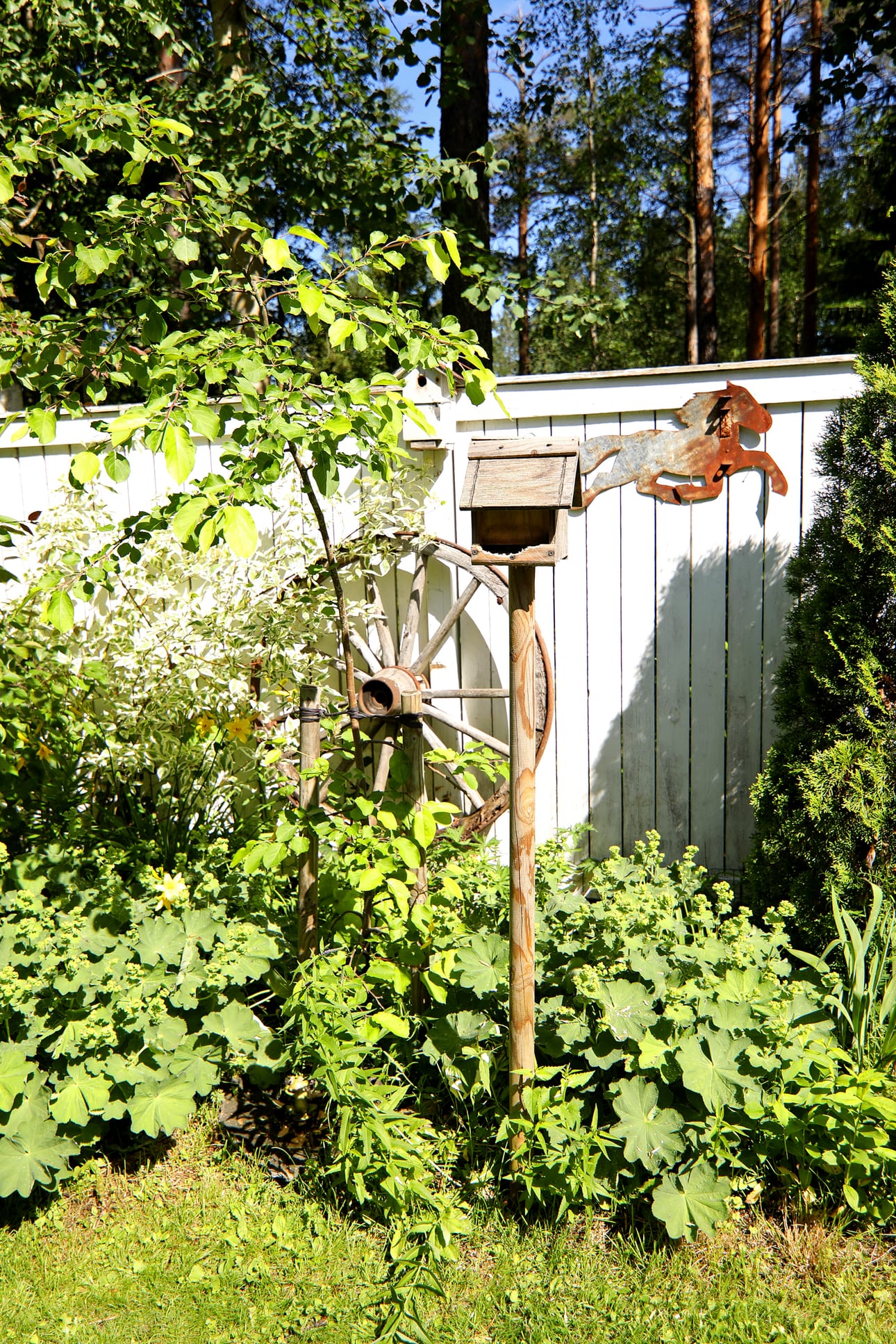 Lintulaudalla riittää vilskettä. Kärrynpyörä ja hevonen on tuotu Ylivieskasta Ouluun.