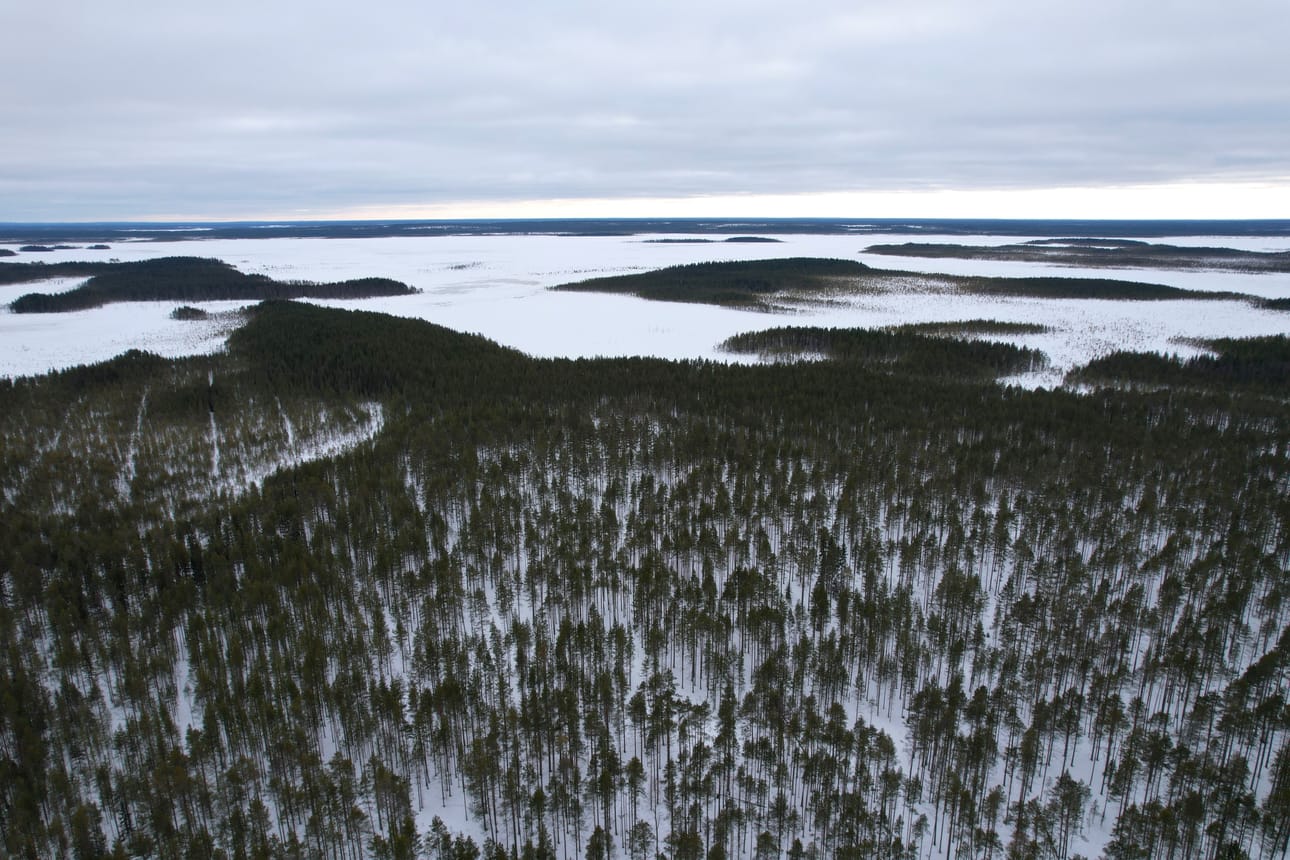 Hallinto-oikeus on kumonnut Pudasjärven Olvassuolle myönnetyn luvan susien tappamiseen.