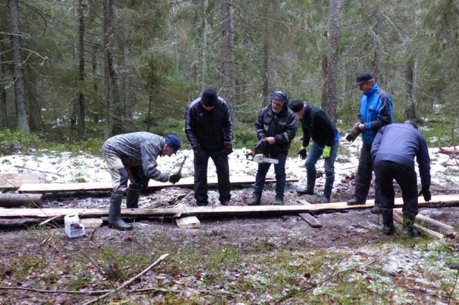 Vaasan Ladun jäsenet urakoivat Pilvilammelle 250 metriä pitkospuita. Kuva: Kari Kujala