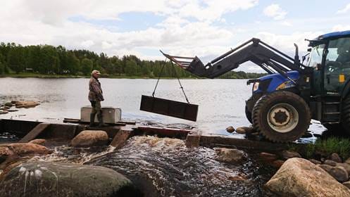 Team Kalan Henri Kylli ja Kalevi Wiik Etelä- ja Pohjois-Iin jakokunnista avaavat Uiskarin kalatien portin kuusi kilometriä pitkään luonnonuomaan.