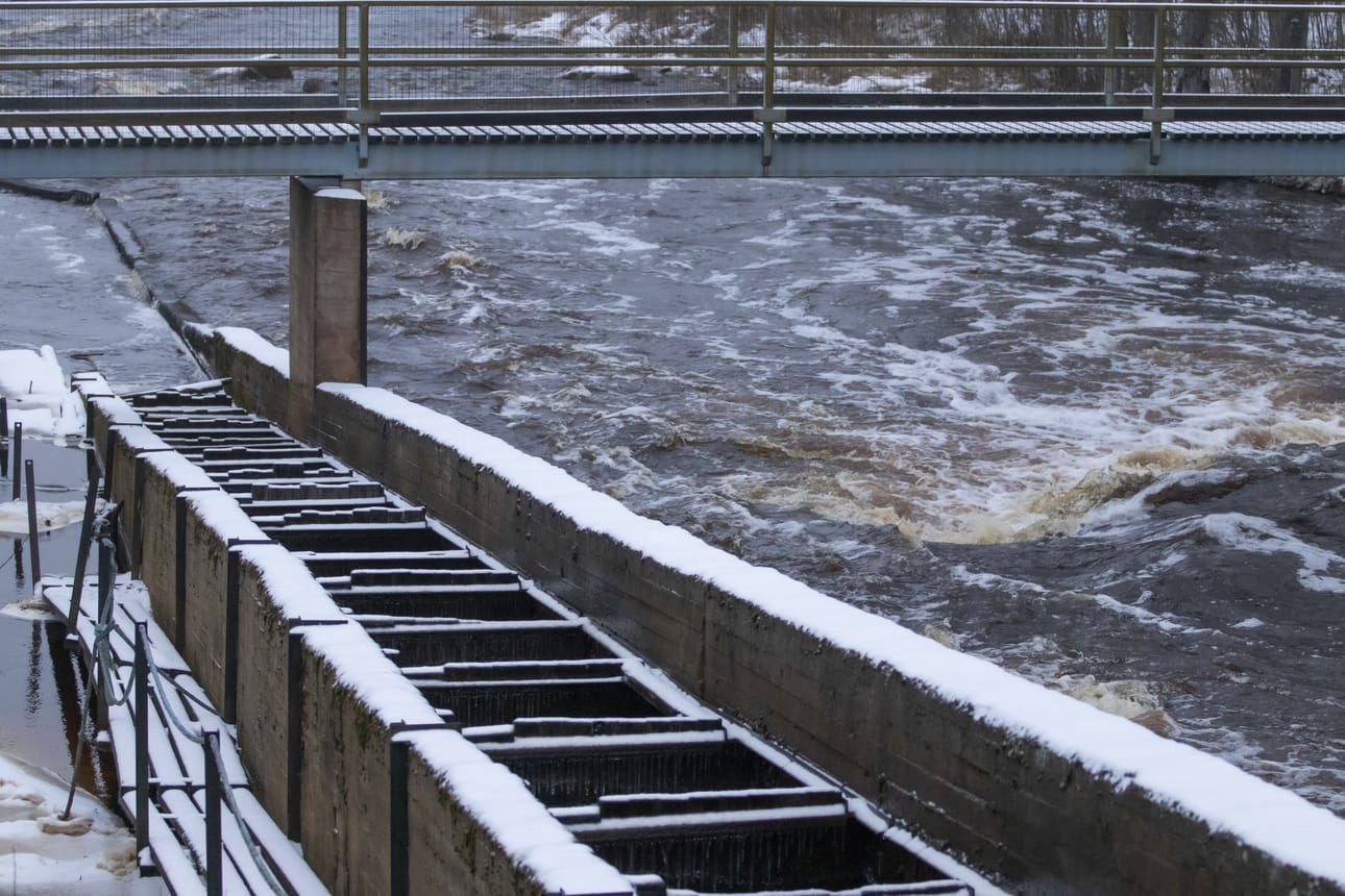 Koskienergia sulkee vanhat kalaportaat 2. joulukuuta. Vesi pääsee portaisiin jälleen 15. toukokuuta.