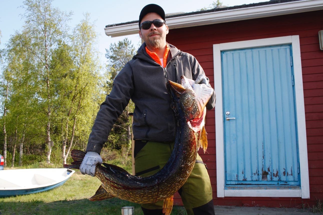 Joni Saukko on osallistunut Haukikuninkuuskisoihin aiemminkin, mutta vasta tänä vuonna saaliin kehtasi tuoda punnittavaksi. Saukko jäi nippa nappa kakkoseksi tämän vuoden Haukikuninkaalle Joel Nuoralalle.