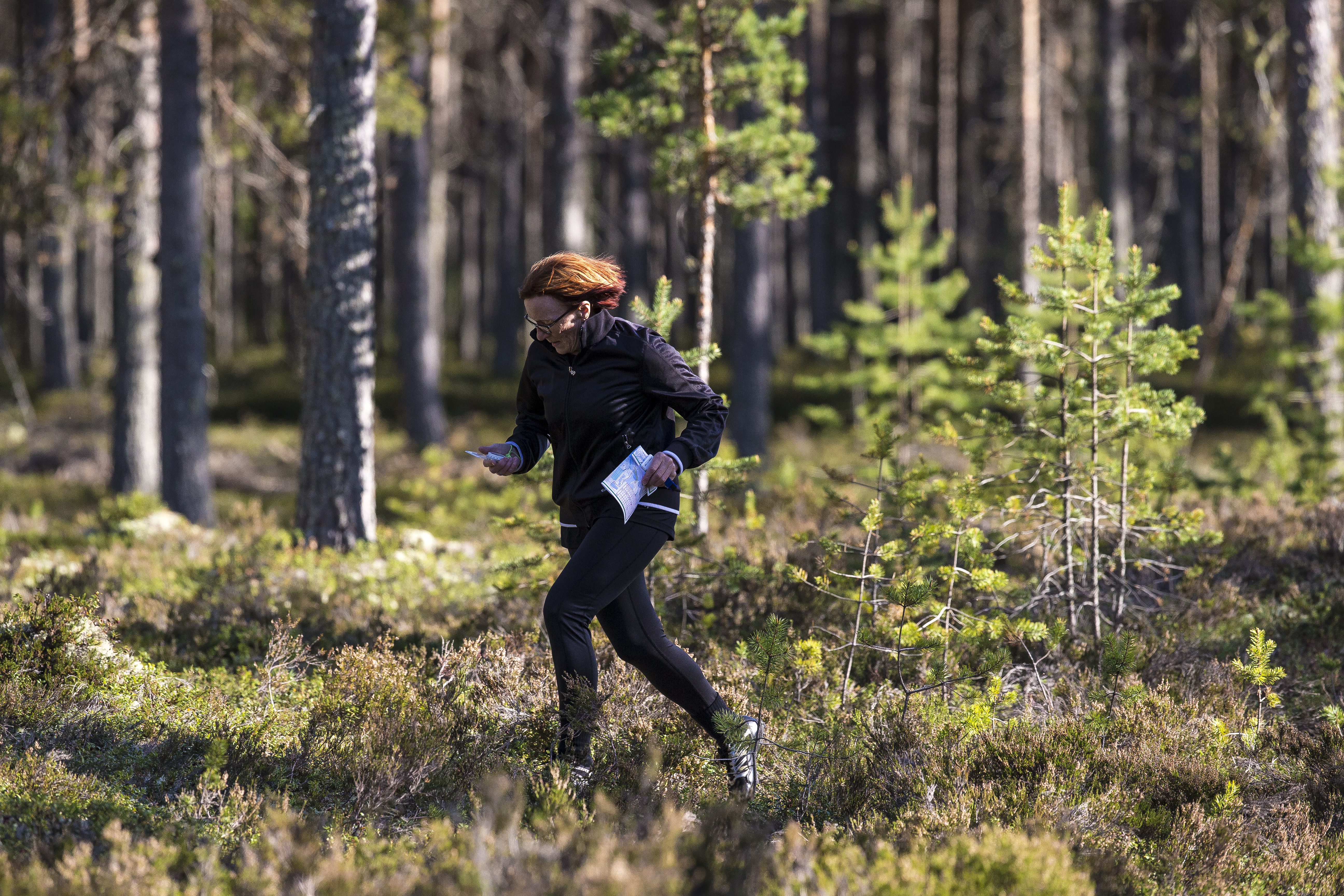 Iltarastit Siikajoen papinkankaalla.
Iltarastit, kuntorastit, suunnistus, suunnistaminen, rasti, Saloisten Reipas