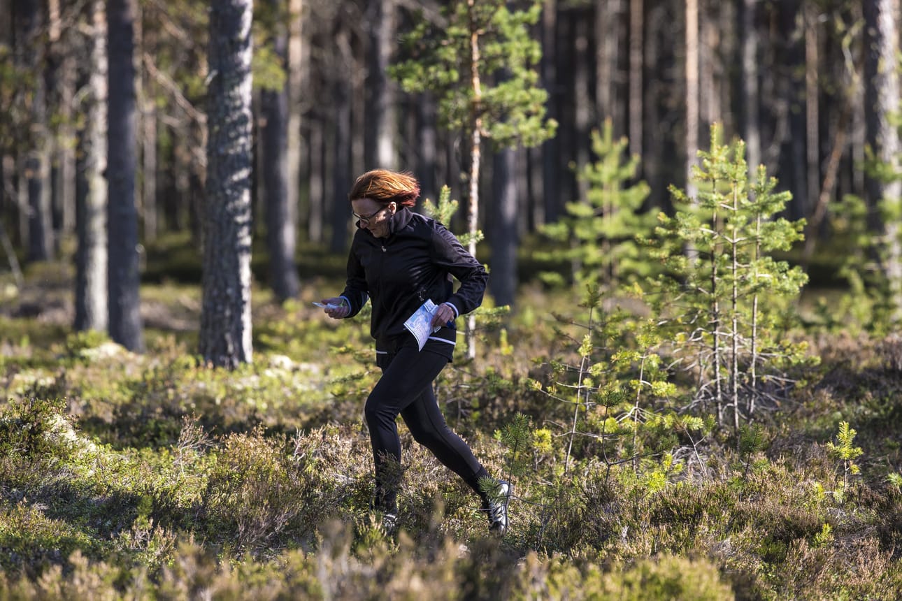 Iltarastit Siikajoen papinkankaalla. Iltarastit, kuntorastit, suunnistus, suunnistaminen, rasti, Saloisten Reipas