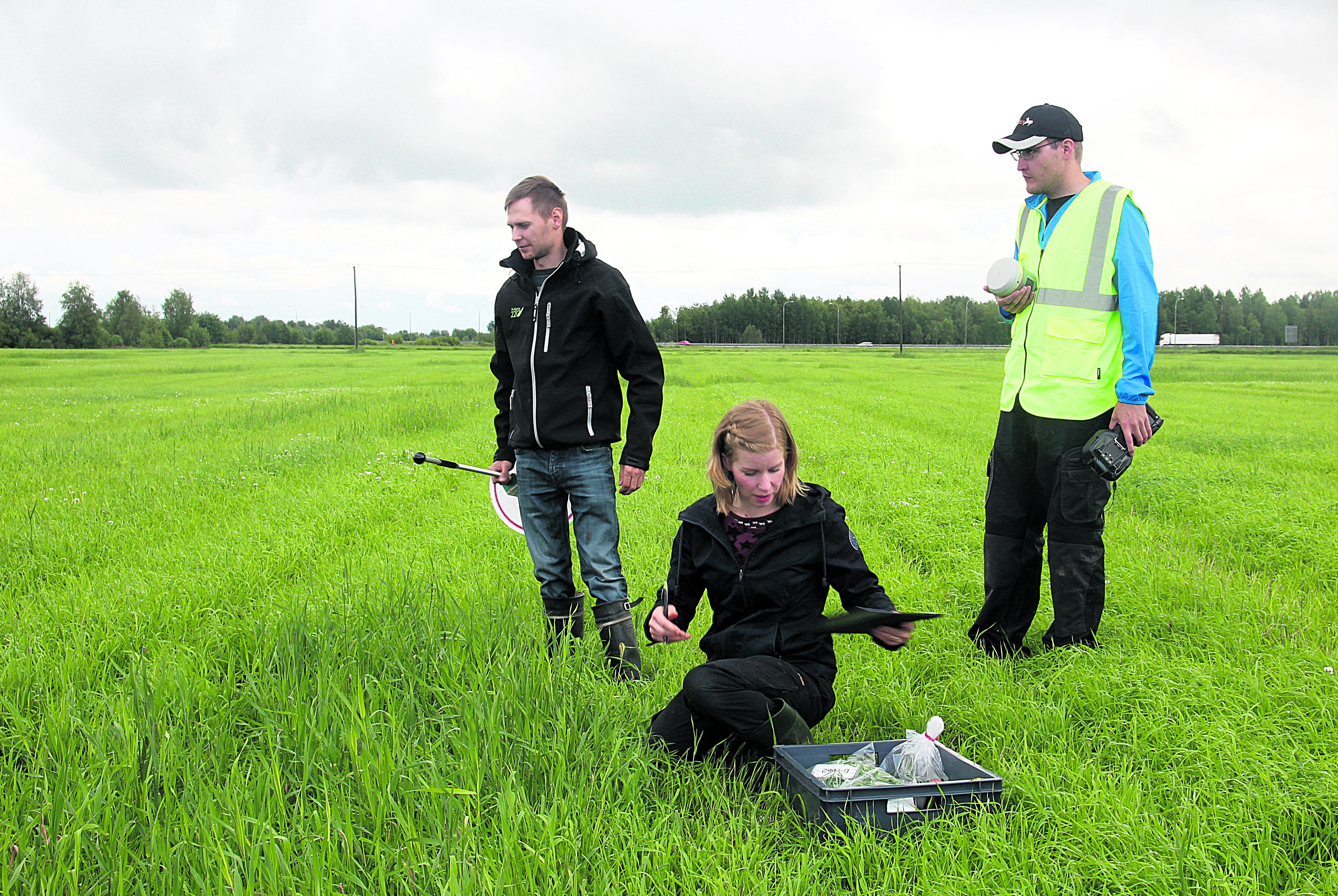 Hitechillä satopanostukset kuntoon. Nurmilauta ja biomassamittaus kertovat satotason, GPS-anturi sijoittaa näytteenottopaikan kartalle. Kun mittaustulokset yhdistää dronen ottamiin kuviin, saa viljelijä seikkaperäistä tietoa peltolohkoistaan. ProAgrian Juha Sohlo, Maria Vanhatalo Lukesta ja Roope Näsi MML:stä pilottipellolla.